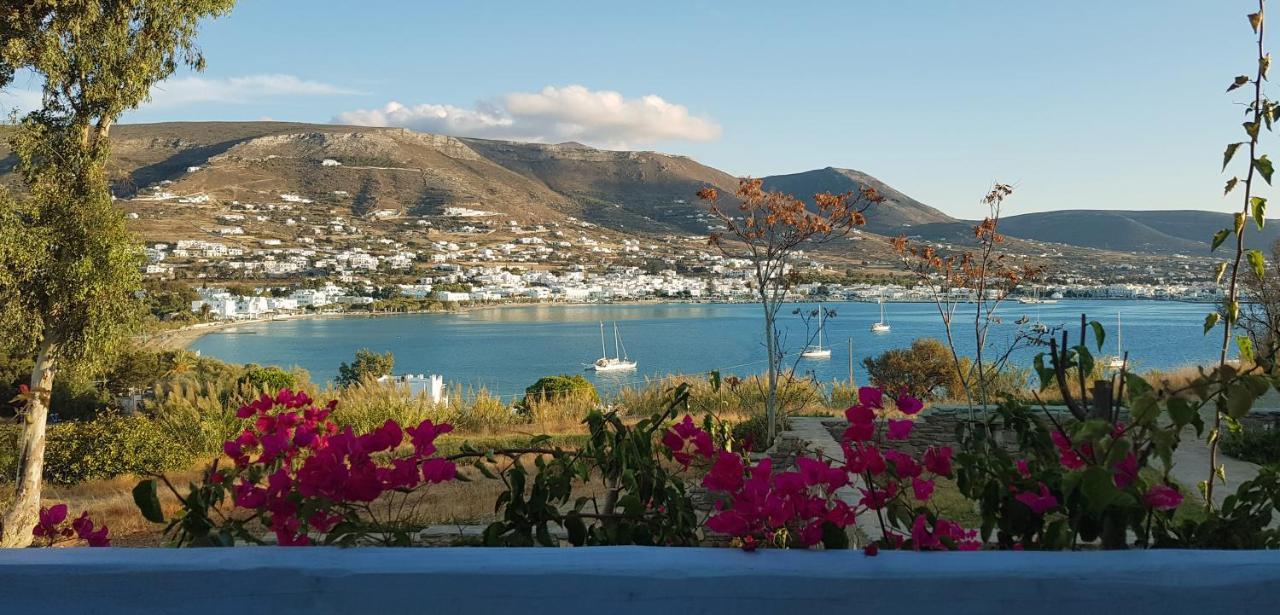 Paros Paradise Apartments Ngoại thất bức ảnh