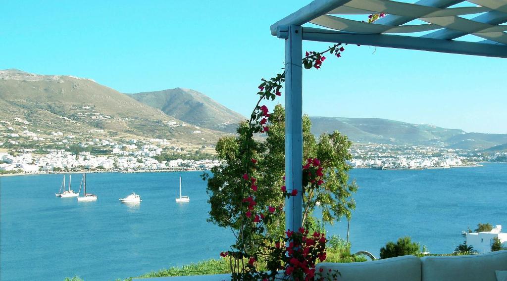 Paros Paradise Apartments Phòng bức ảnh