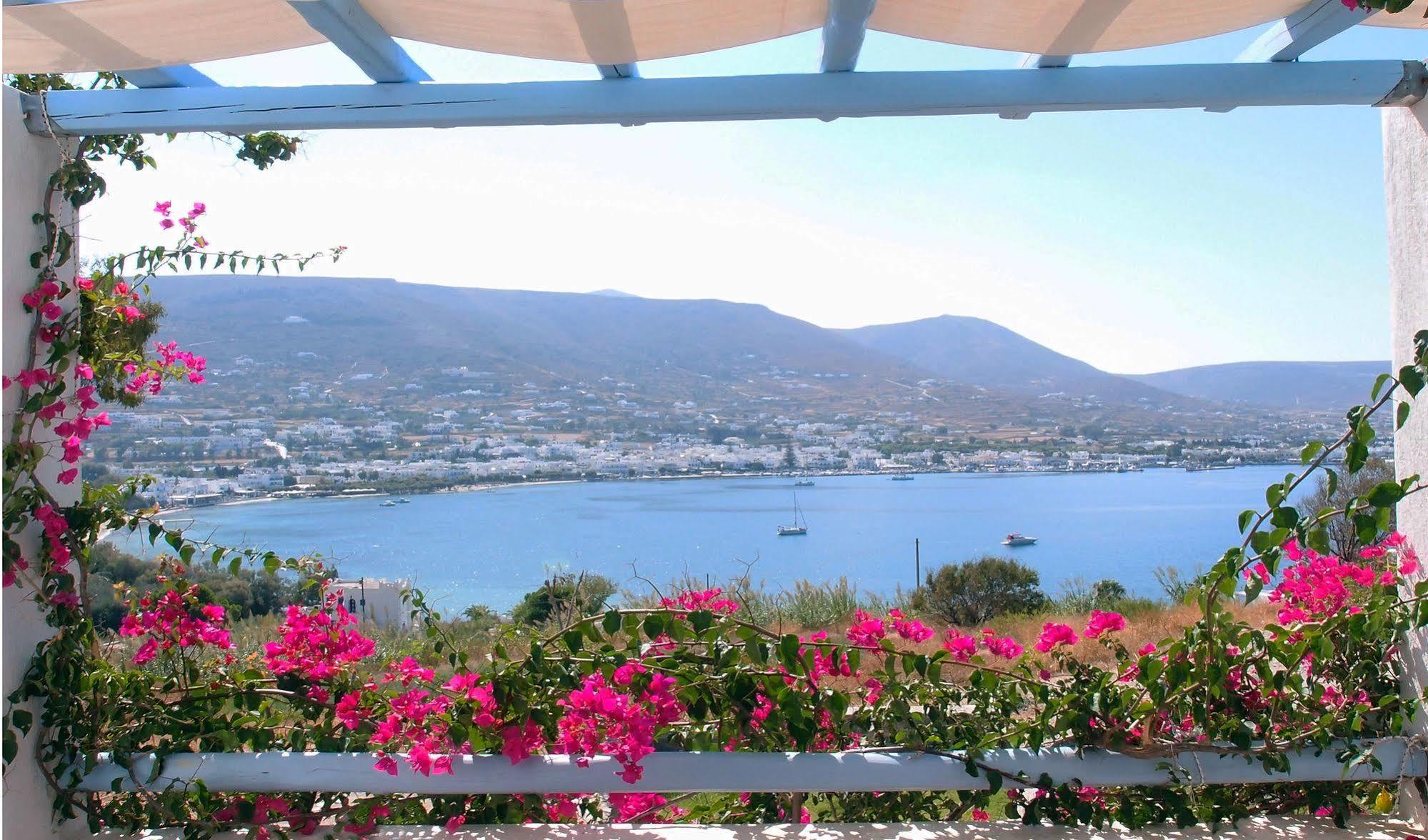 Paros Paradise Apartments Ngoại thất bức ảnh